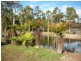 110 Bridport Back Road, Nabowla, Scottsdale TAS 7260