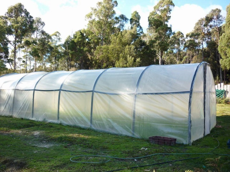 110 Bridport Back Road, Nabowla, Scottsdale TAS 7260