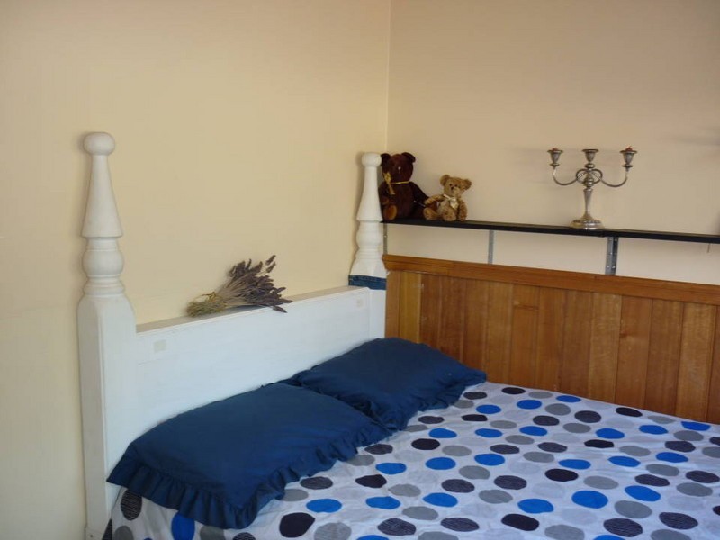 110 Bridport Back Road, Nabowla, Scottsdale TAS 7260