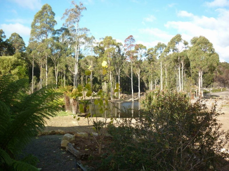 110 Bridport Back Road, Nabowla, Scottsdale TAS 7260