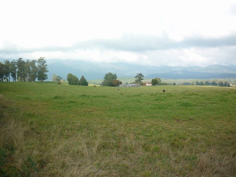 209 Ten Mile Track, Scottsdale TAS 7260