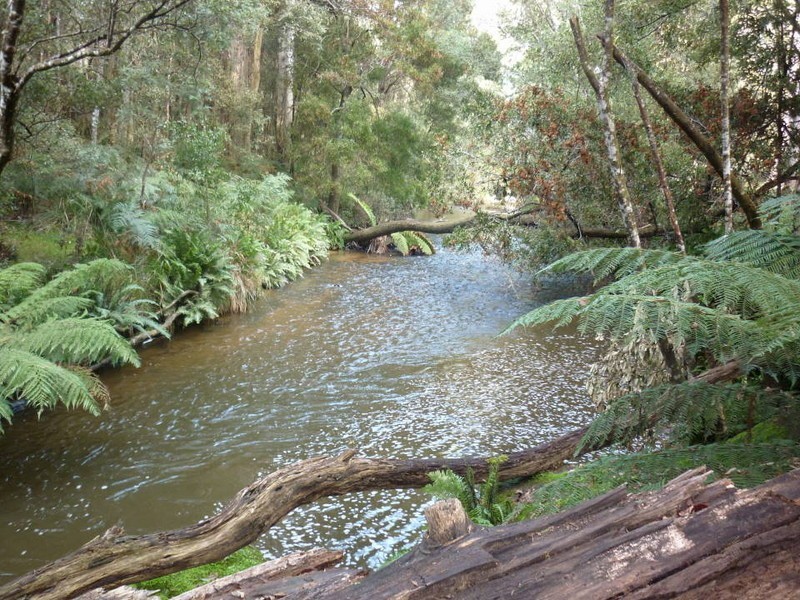 209 Ten Mile Track, Scottsdale TAS 7260
