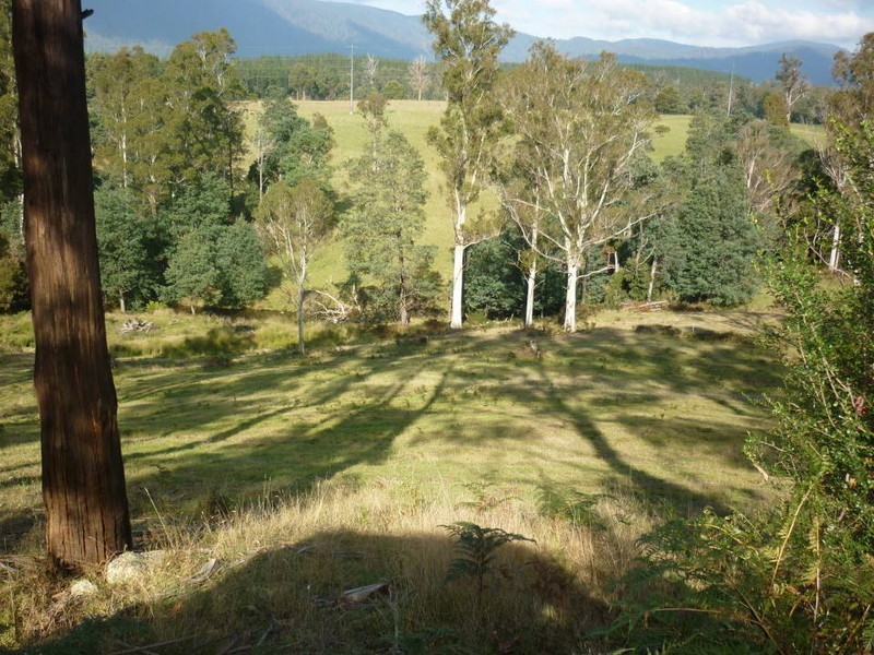 209 Ten Mile Track, Scottsdale TAS 7260