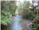 209  Ten Mile Track, Scottsdale TAS 7260