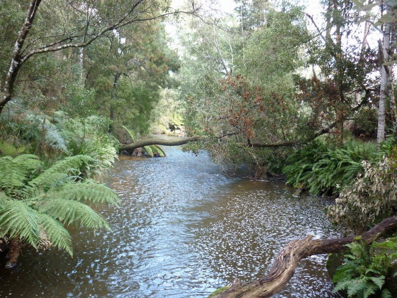 209  Ten Mile Track, Scottsdale TAS 7260