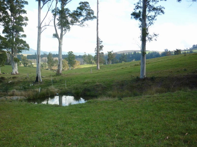209  Ten Mile Track, Scottsdale TAS 7260