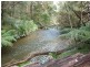 209  Ten Mile Track, Scottsdale TAS 7260