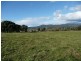33317 Tasman Highway, Legerwood TAS 7263
