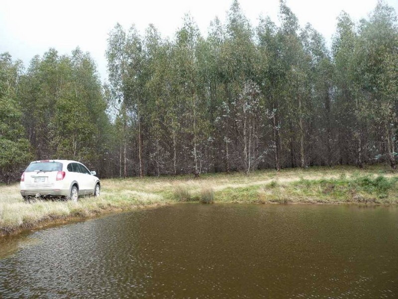 33317 Tasman Highway, Legerwood TAS 7263