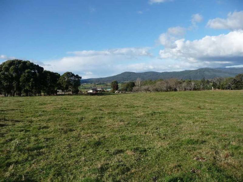 33317 Tasman Highway, Legerwood TAS 7263