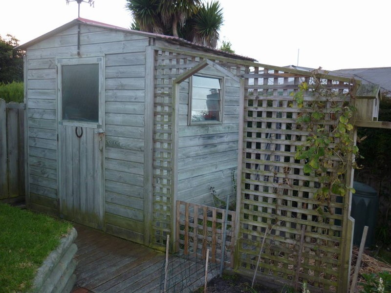 14 Louisa Street, Bridport TAS 7262