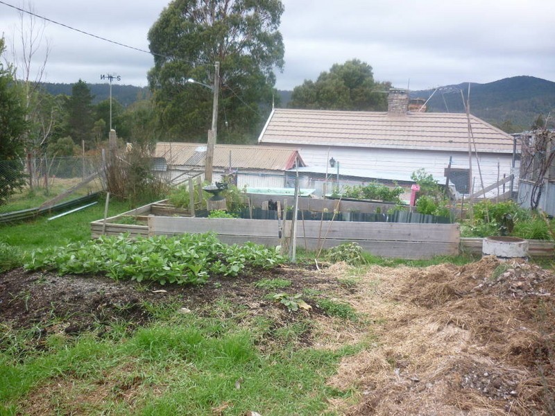 15 Mt Paris Dam Road, Weldborough TAS 7264