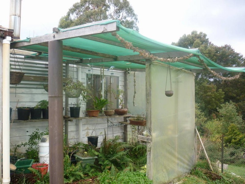 15 Mt Paris Dam Road, Weldborough TAS 7264