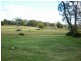 35 Holmes Crt, Bridport TAS 7262