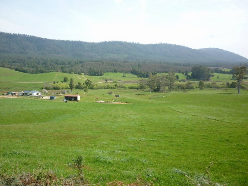 36184 Tasman Highway, Springfield, Scottsdale TAS 7260