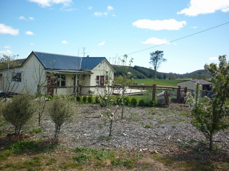 36184 Tasman Highway, Springfield, Scottsdale TAS 7260