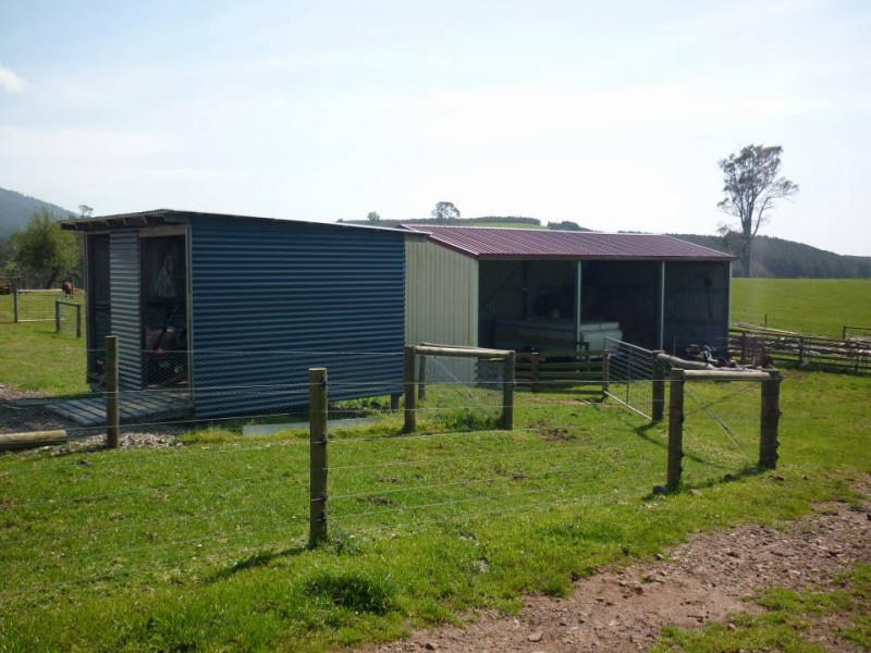 36184 Tasman Highway, Springfield, Scottsdale TAS 7260