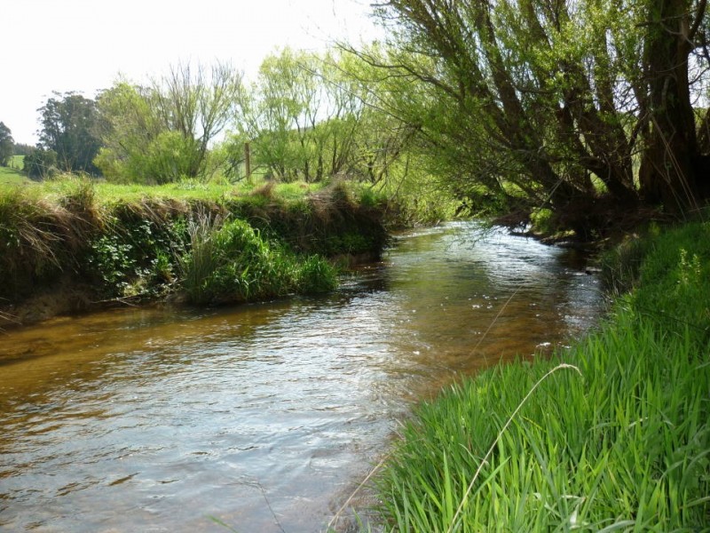 36184 Tasman Highway, Springfield, Scottsdale TAS 7260