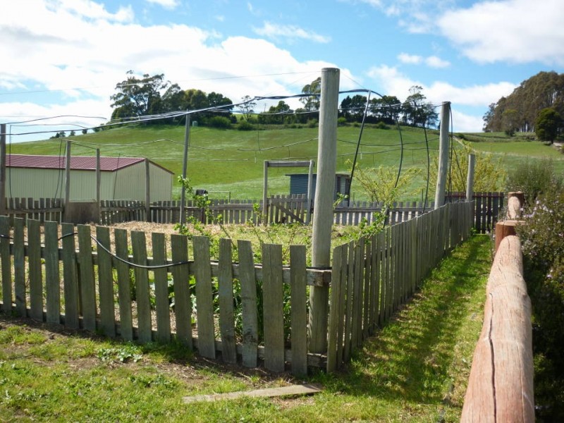 36184 Tasman Highway, Springfield, Scottsdale TAS 7260