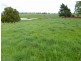 65 Main Street, Winnaleah TAS 7265