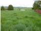 65 Main Street, Winnaleah TAS 7265