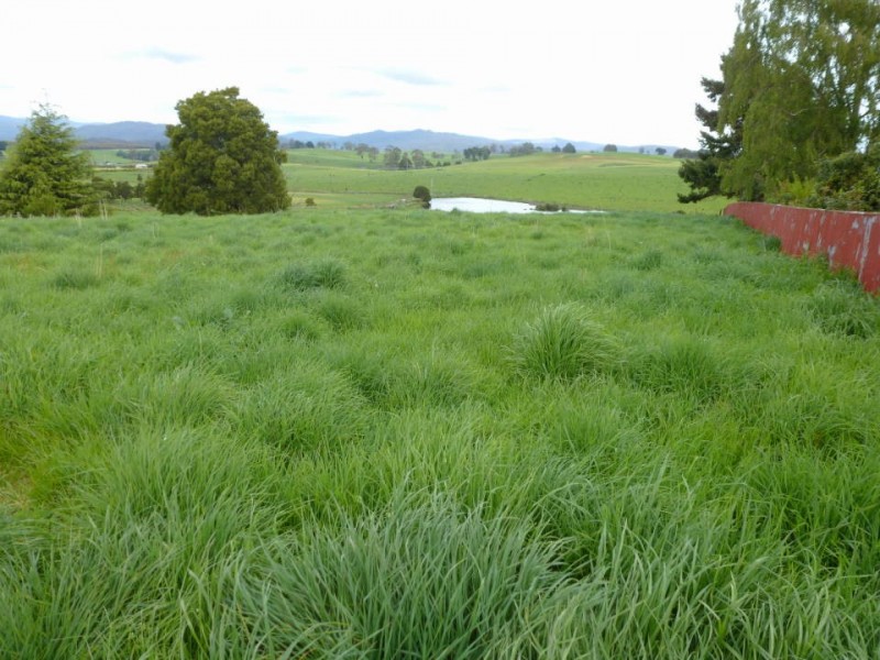 65 Main Street, Winnaleah TAS 7265