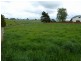 65 Main Street, Winnaleah TAS 7265