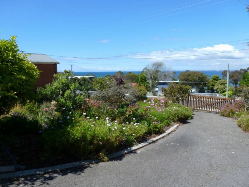 41 Westwood Street, Bridport TAS 7262