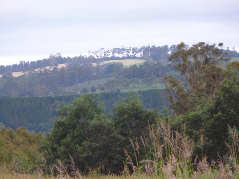 51 Scott Street, Branxholm TAS 7261