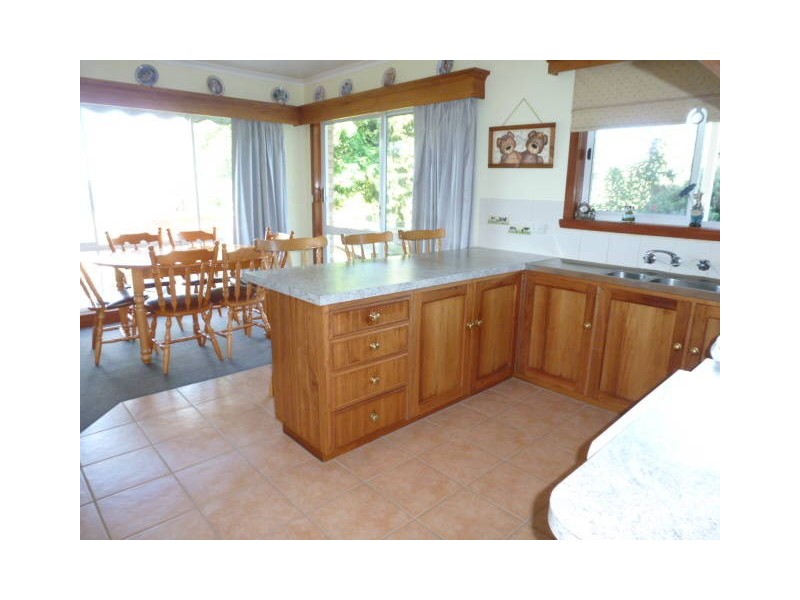 310 Mackenzie Valley Road, Cuckoo, Scottsdale TAS 7260