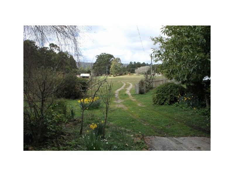 29771 Tasman Highway, Weldborough TAS 7264