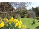 29771 Tasman Highway, Weldborough TAS 7264