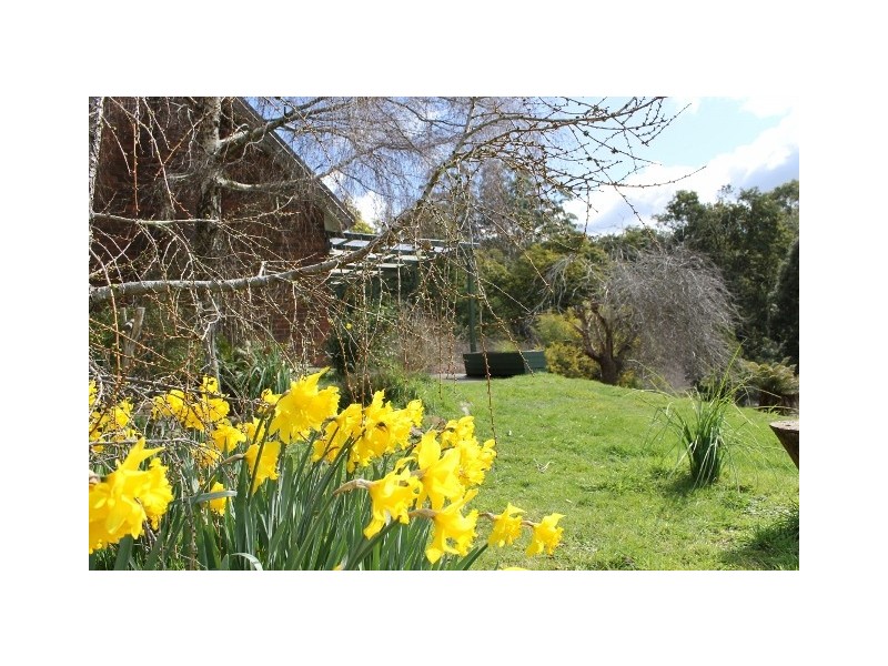 29771 Tasman Highway, Weldborough TAS 7264