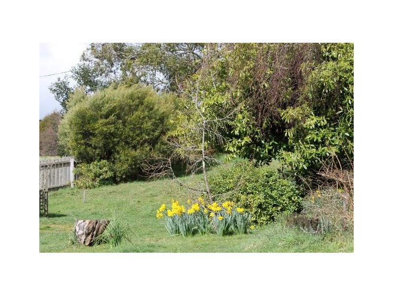 29771 Tasman Highway, Weldborough TAS 7264