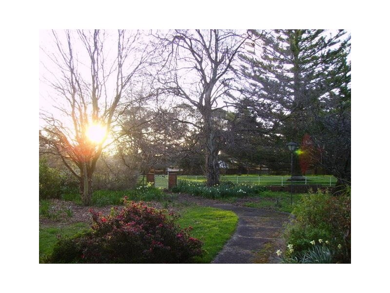 60 George Street, Scottsdale TAS 7260