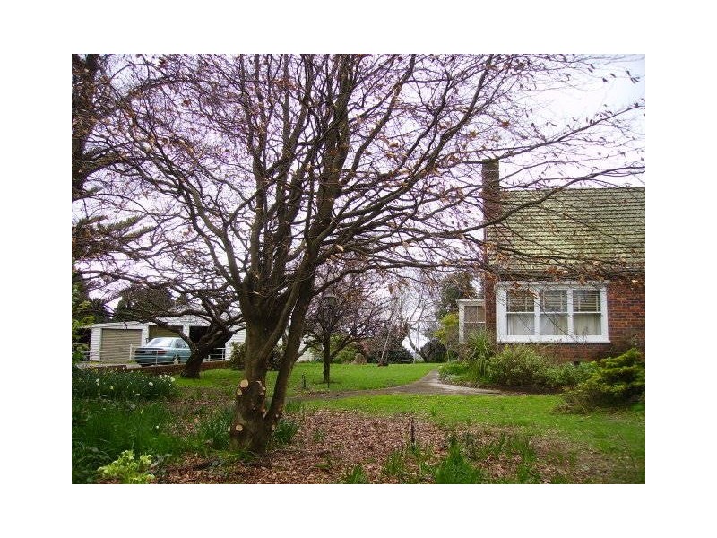 60 George Street, Scottsdale TAS 7260