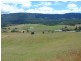 ** Tasman Highway,Springfield, Scottsdale TAS 7260