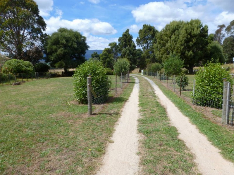 35930 Tasman Highway,Springfield, Scottsdale TAS 7260