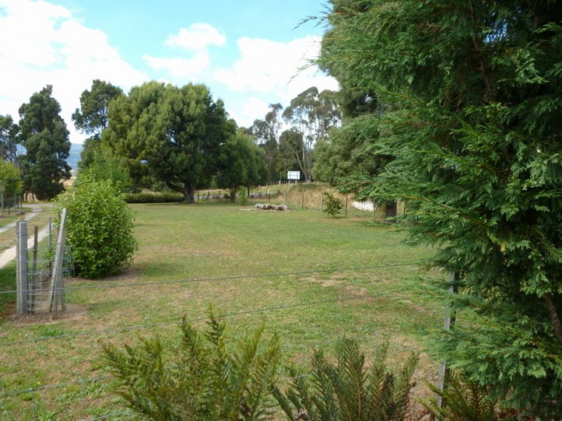 35930 Tasman Highway,Springfield, Scottsdale TAS 7260