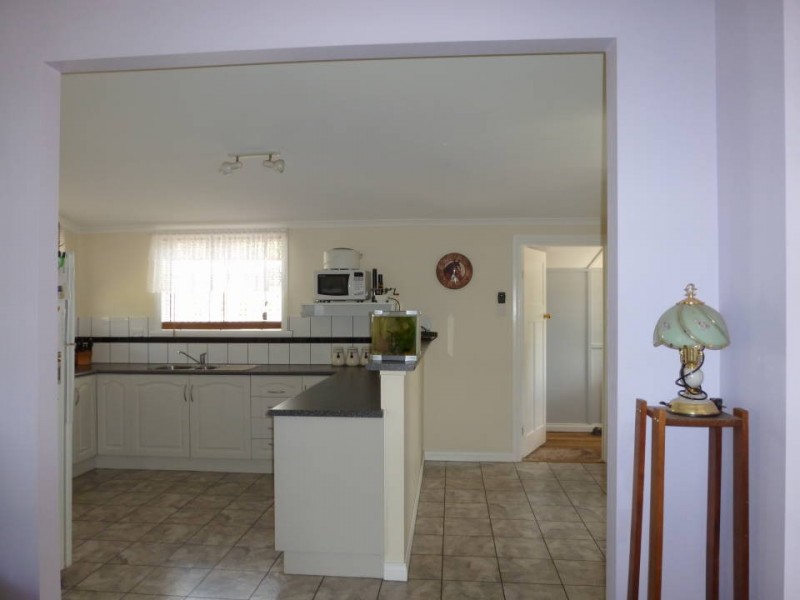 35930 Tasman Highway,Springfield, Scottsdale TAS 7260