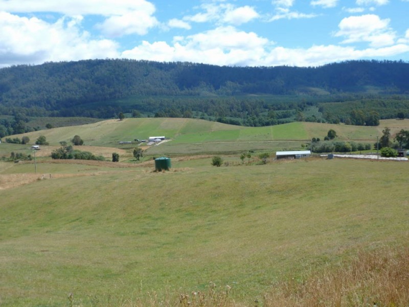 * Tasman Highway, Springfield, Scottsdale TAS 7260