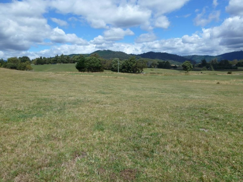 * Tasman Highway, Springfield, Scottsdale TAS 7260