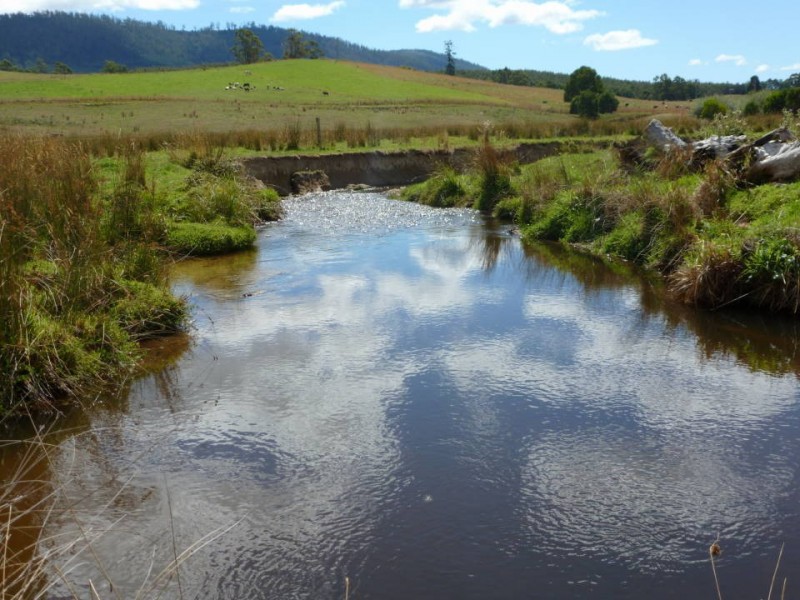 * Tasman Highway, Springfield, Scottsdale TAS 7260