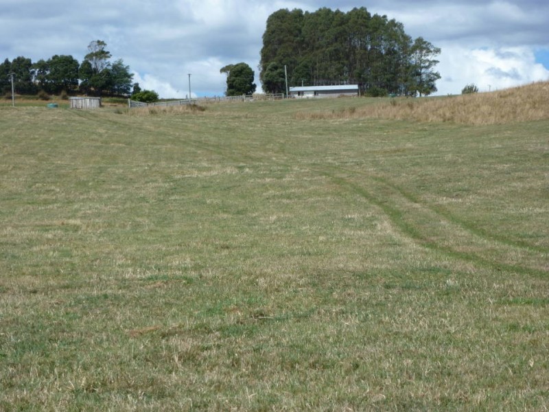 * Tasman Highway, Springfield, Scottsdale TAS 7260