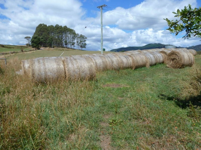 * Tasman Highway, Springfield, Scottsdale TAS 7260