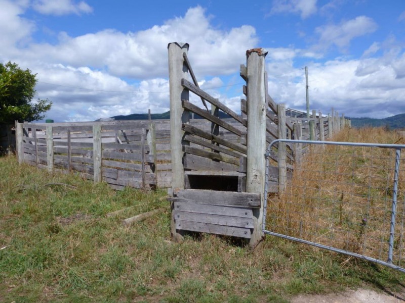 * Tasman Highway, Springfield, Scottsdale TAS 7260