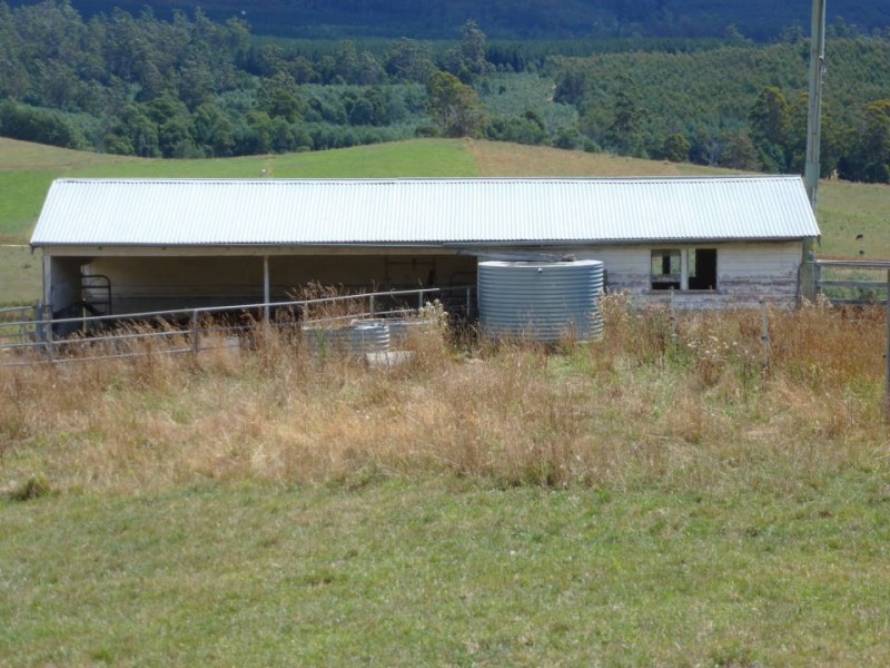 * Tasman Highway, Springfield, Scottsdale TAS 7260