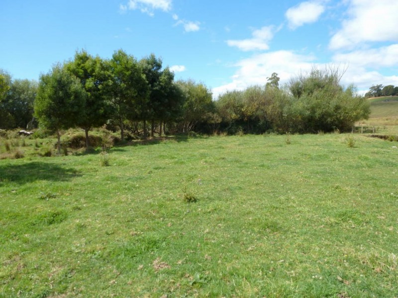 * Tasman Highway, Springfield, Scottsdale TAS 7260