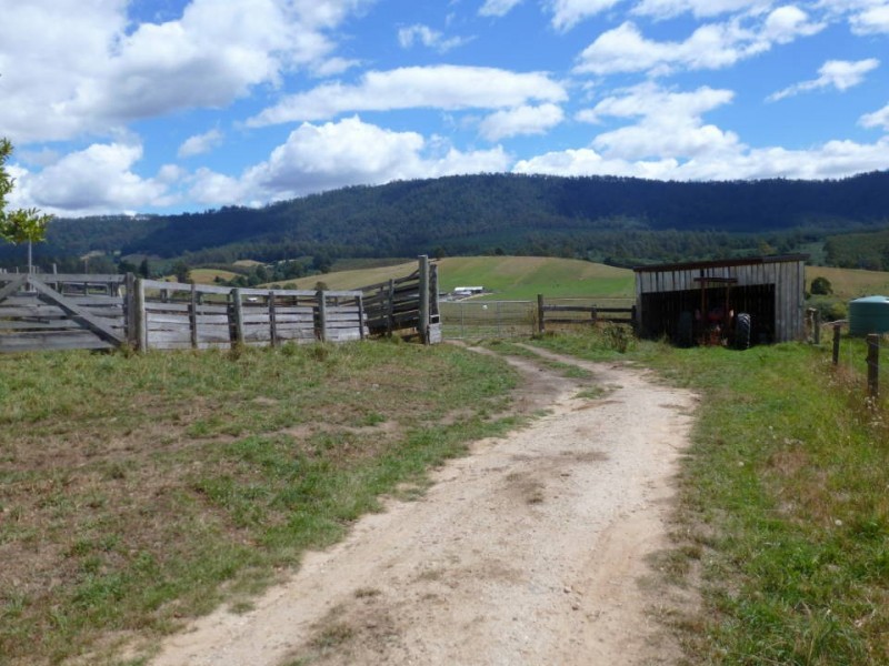 * Tasman Highway, Springfield, Scottsdale TAS 7260