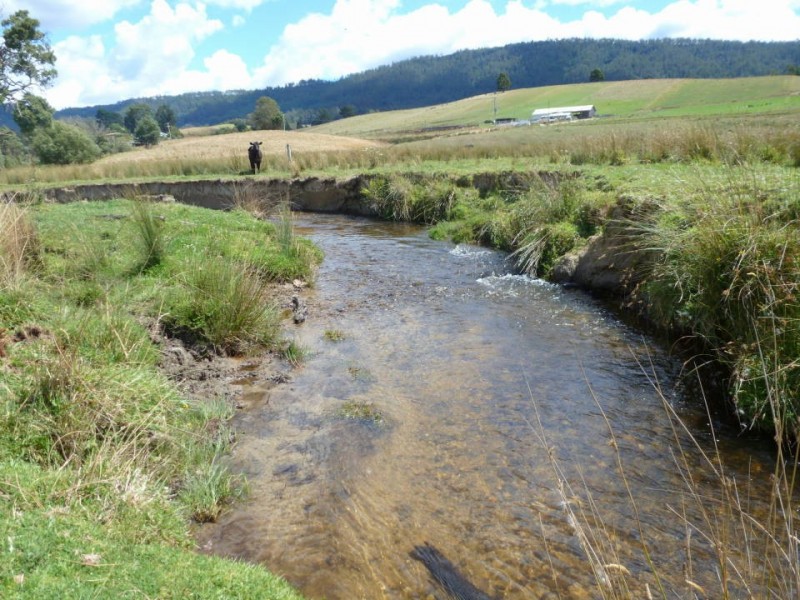 * Tasman Highway, Springfield, Scottsdale TAS 7260